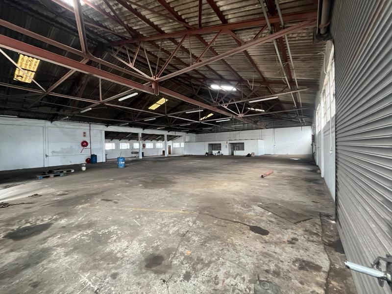 To Let Commercial Property for Rent in Deal Party Eastern Cape